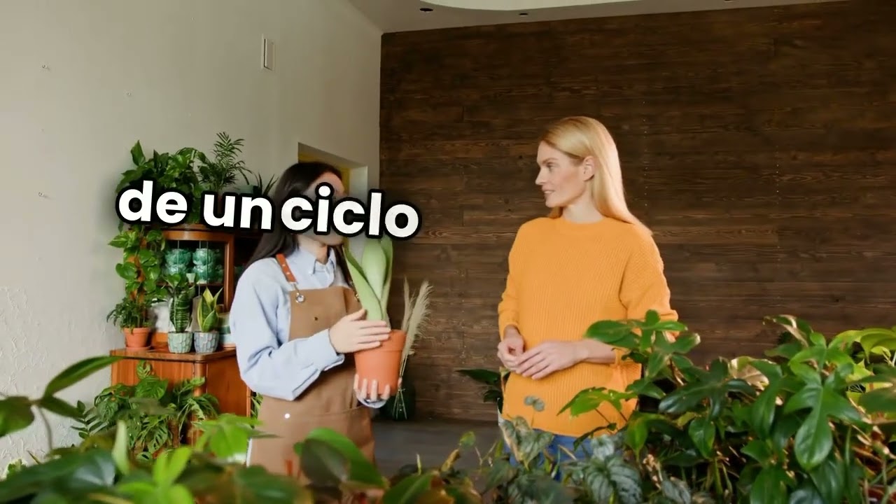 🛍️ D&iacute;a 63: Apoyando Negocios Locales 💙