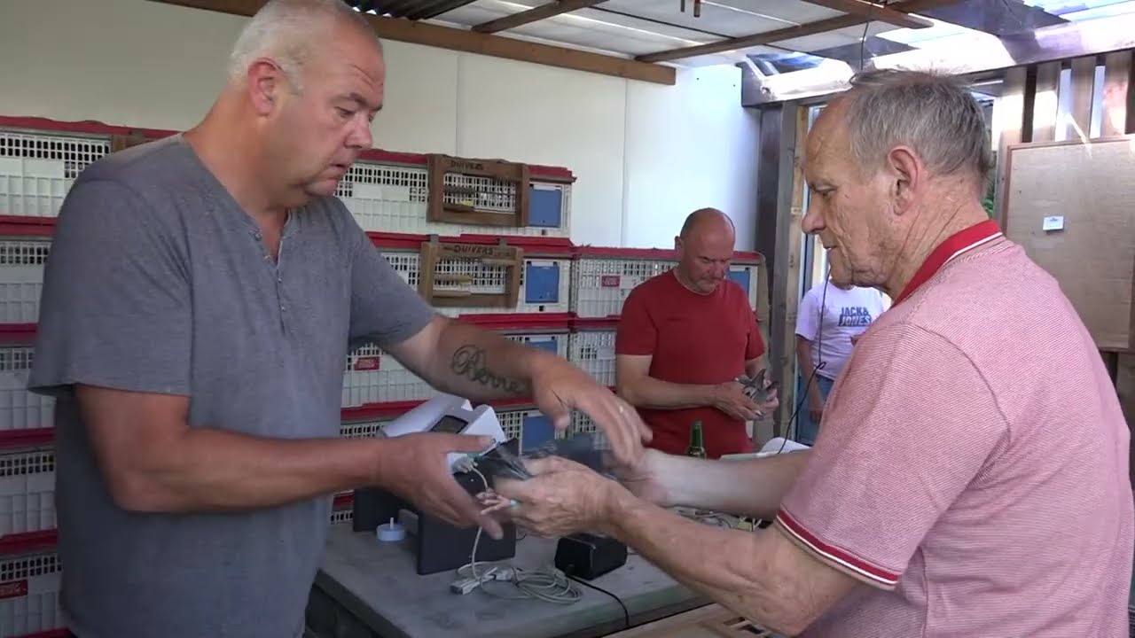 Van 't hok en terug