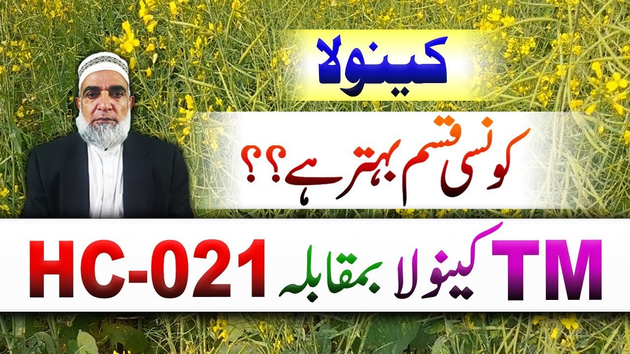 Which is better variety of canola || HC-021C or TM Canola || Crop Reformer