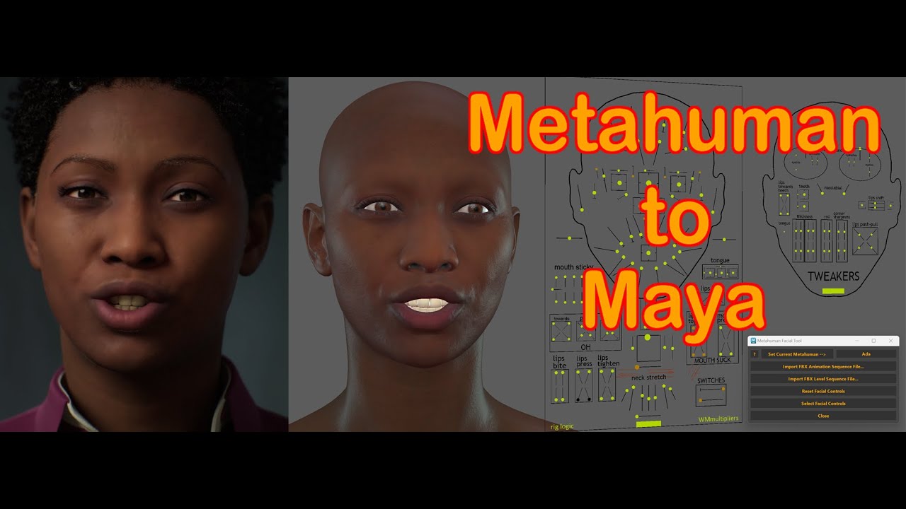 Metahuman To Maya **Updated
