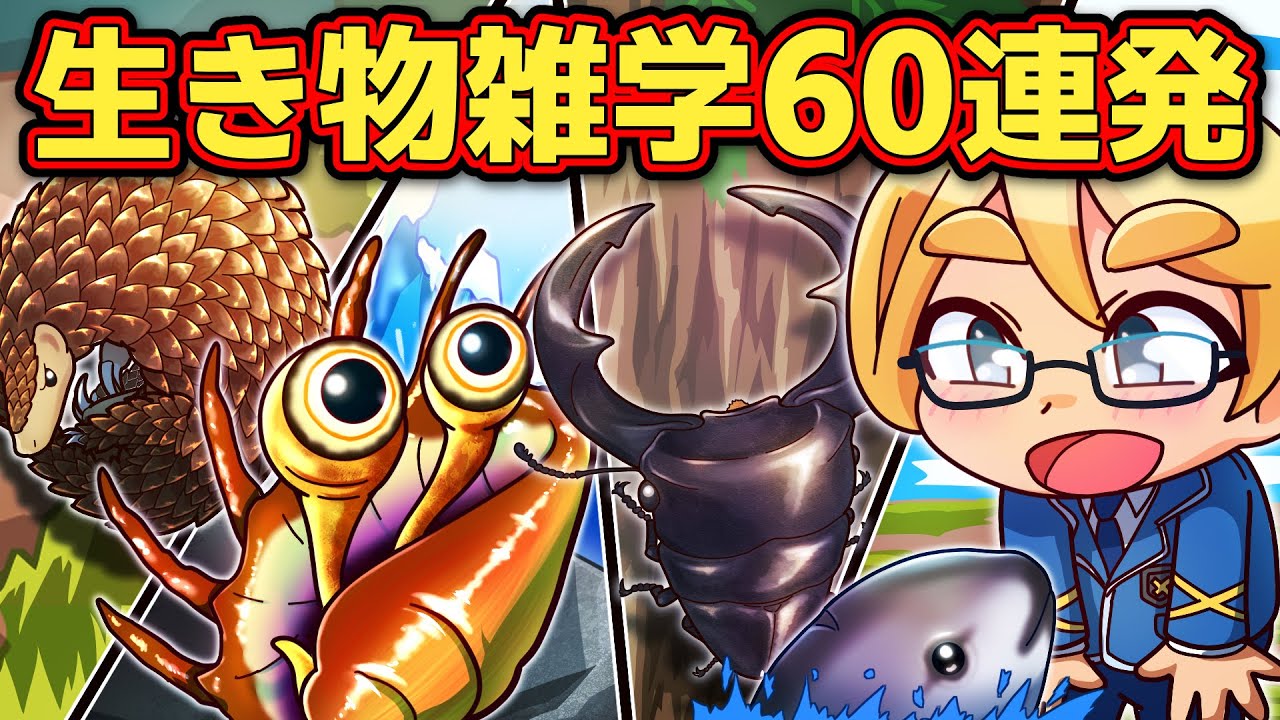 【総集編】いきもの雑学てんこ盛り！ベスト60選【アニメ】【マンガ】