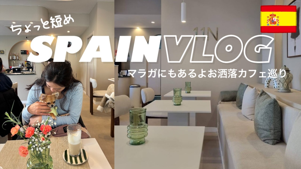 【Malag🇪🇸】スペインお洒落カフェ巡り☕️🤎｜マラガの美味しいチーズケーキ🍰
