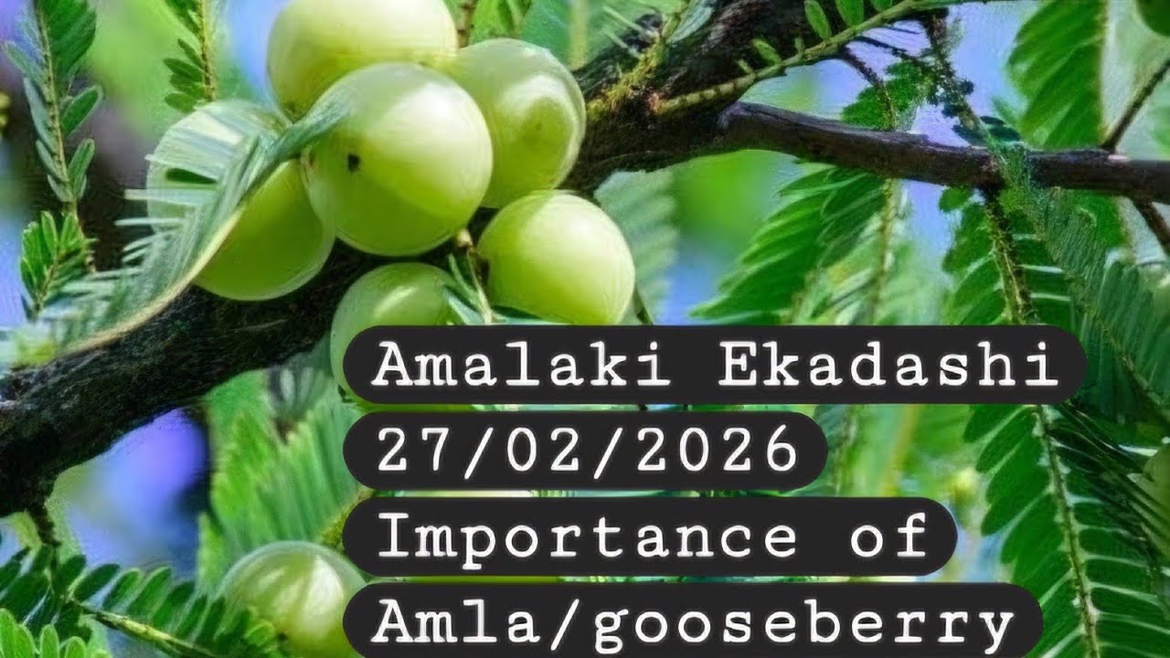 Amalaki Ekadashi on 27/02/26 | Amalaki Ekadashi in English | Importance of Amla