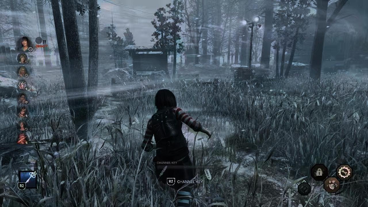 DBD NEMI