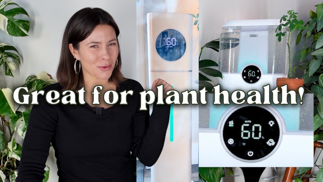 The Best Humidifiers in 2025 for Houseplants - Humidity for Plant Health
