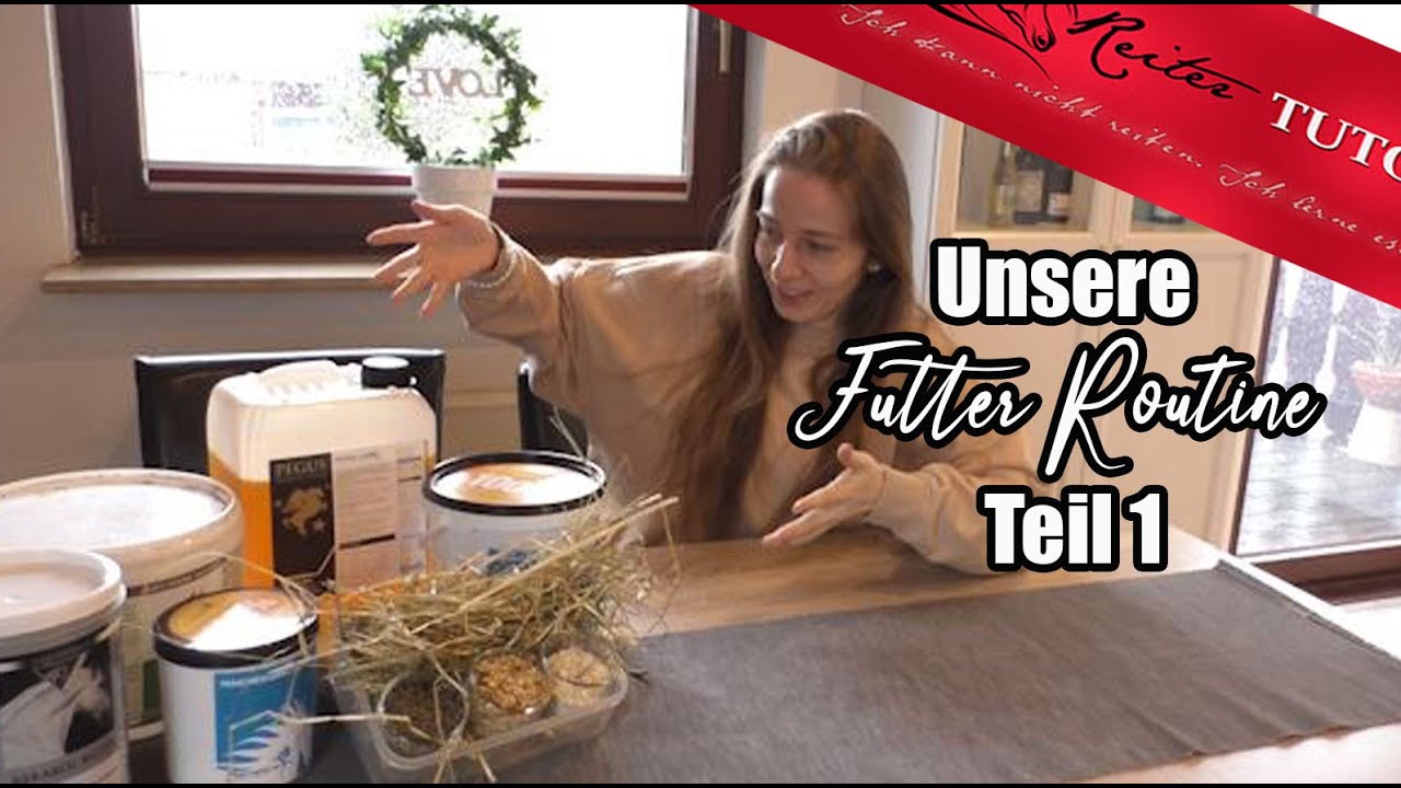 Welches Futter bekommt mein Pferd? & Warum ist Heu so wichtig? // Reitertutorials