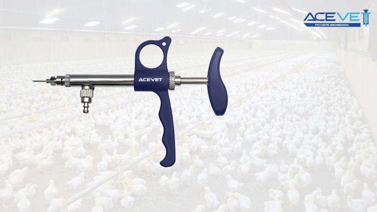 How to use FTS vaccinator || Poultry Vaccinator #vaccinator