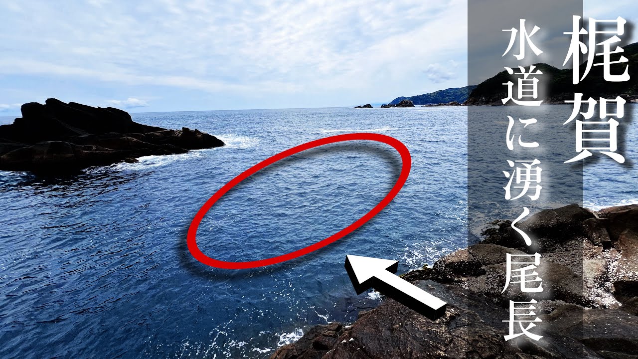 【梶賀大黒解禁速報❗️】朝イチのラッシュを逃すな！水道に湧く無数の尾長がヤバすぎる。