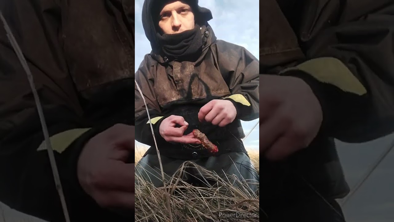 cliff fishing for cod at ryhope