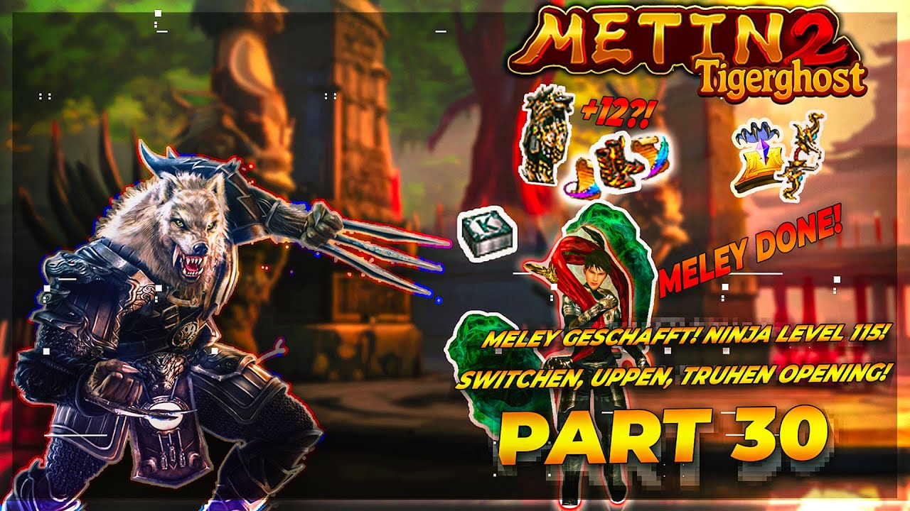 Metin2 DE Projekt Tigerghost #030 - Meley geschafft! Ninja Level 115! Switchen,Uppen,Truhen Opening!