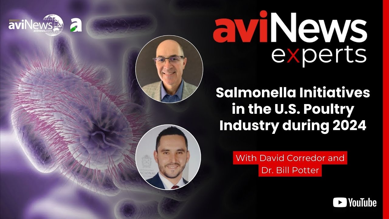 Interview with Dr. Bill Potter: “Salmonella Initiatives in the U.S. Poultry Industry during 2024”
