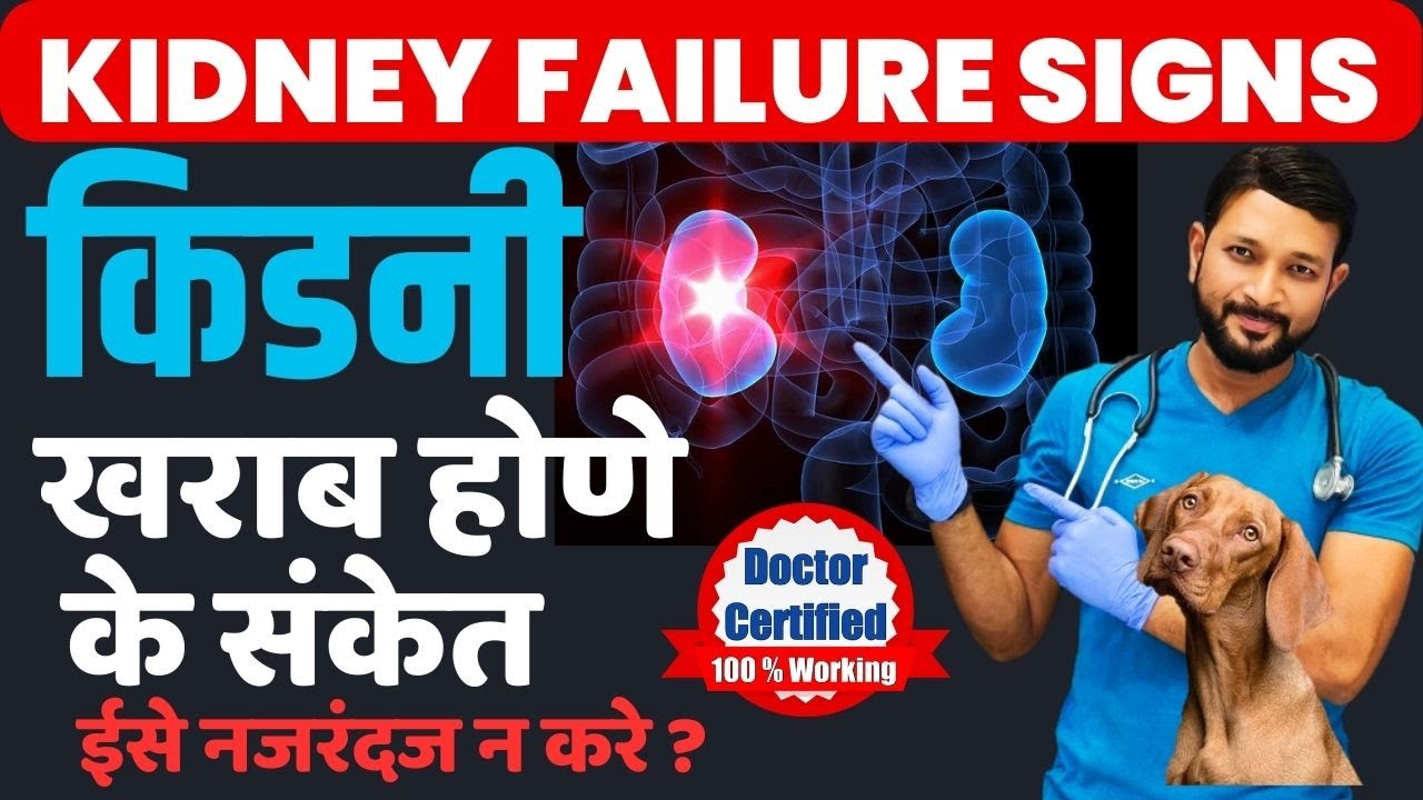 Kidney Failure in Dogs | Symptoms Signs | Treatment | Acute | Chronic Kidney Failure In Hindi