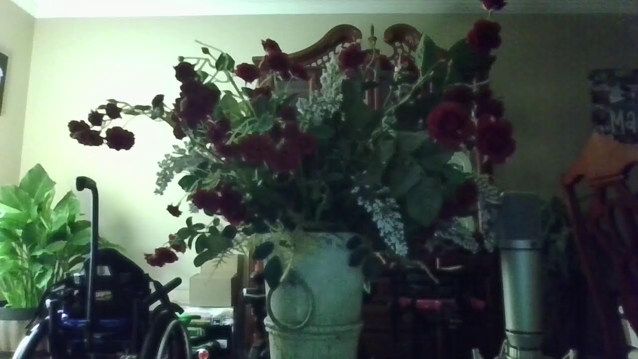 Welcome New Year 2026 | Silent LS | Live Streaming Love Each Other | Banana & WH 2026 | God is good