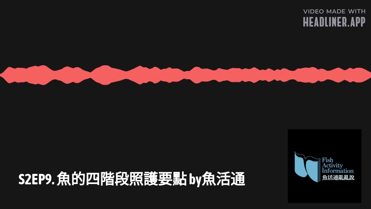 S2EP9. 魚的四階段照護要點 by魚活通