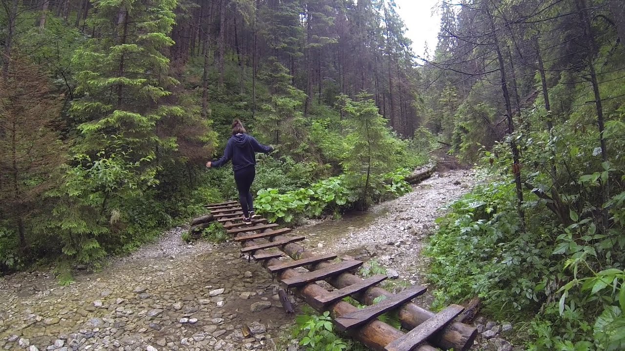 Hiking through the woods of Slovakia
