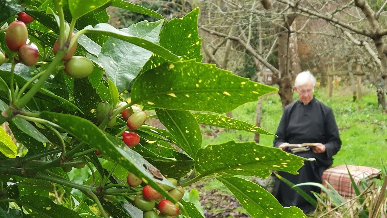 Morning Prayer &ndash; Tuesday, 22nd December 2020