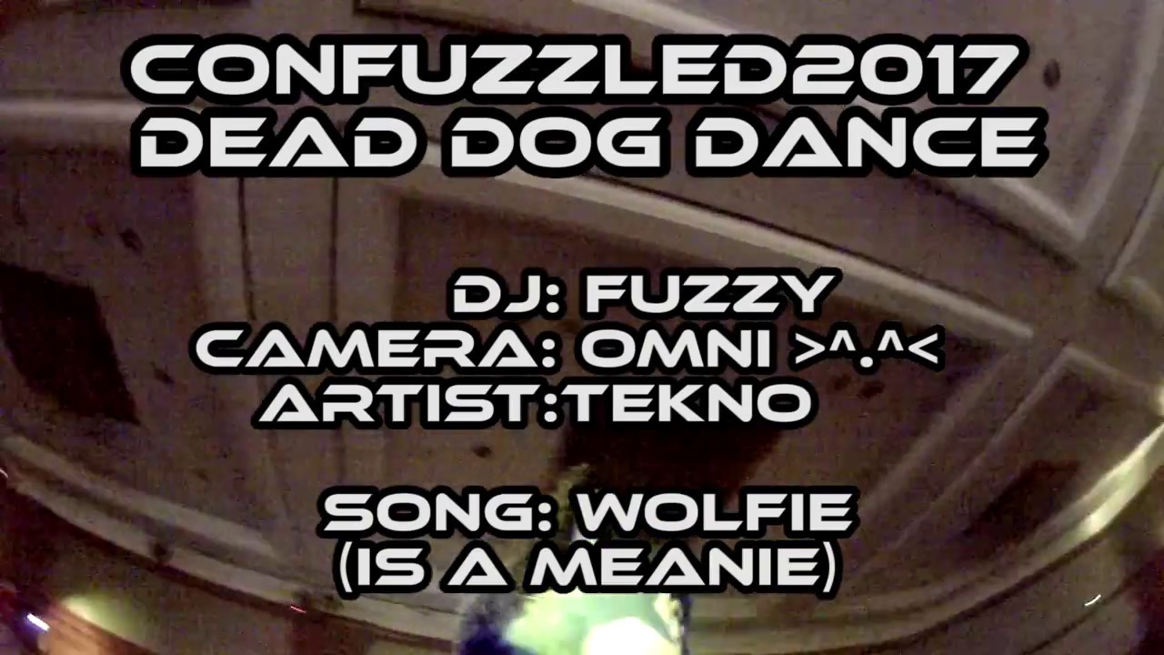 cfz2017 dead dog dance - wolfie is a meanie