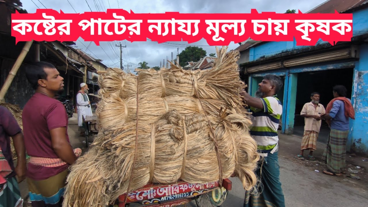 18/08/2025  আজকের পাটের বাজার |পাটের বাজার দর ২০২৫| jute price today | pater bazar today Faridpur