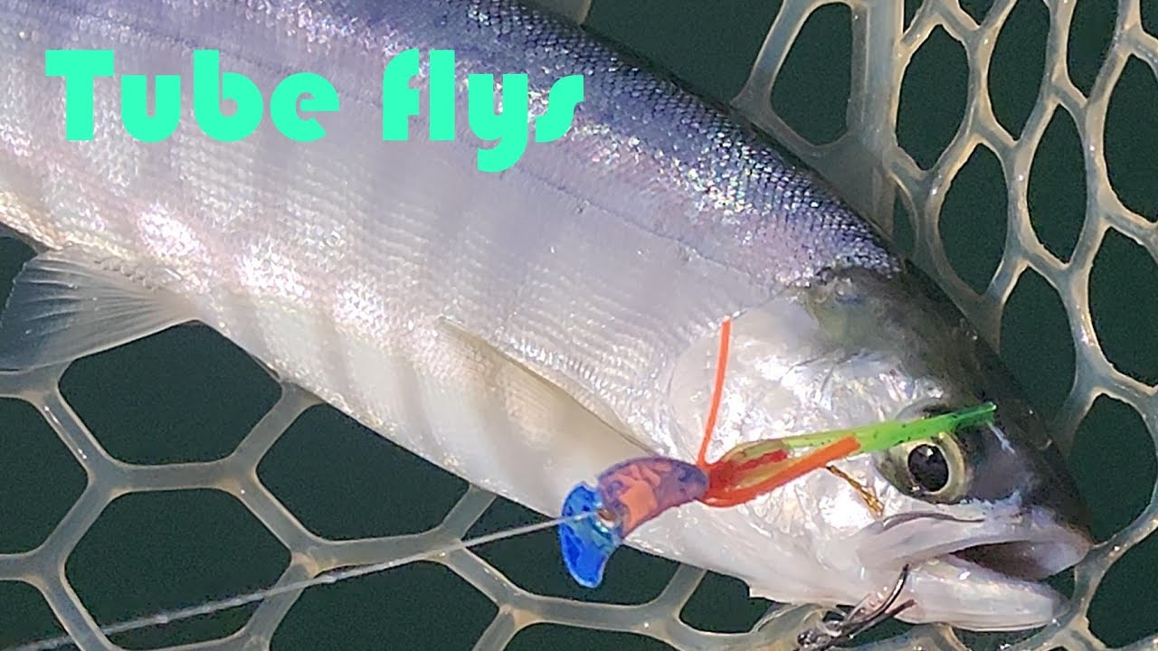 Kokanee Tube Fly