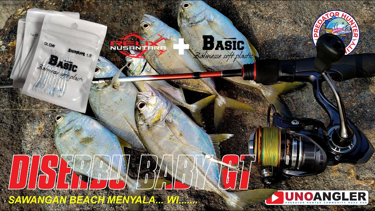 DISERBU BABY GT #daidofishingteam  #relixnusantara #babygt #fishing  #gianttrevally #sikawe