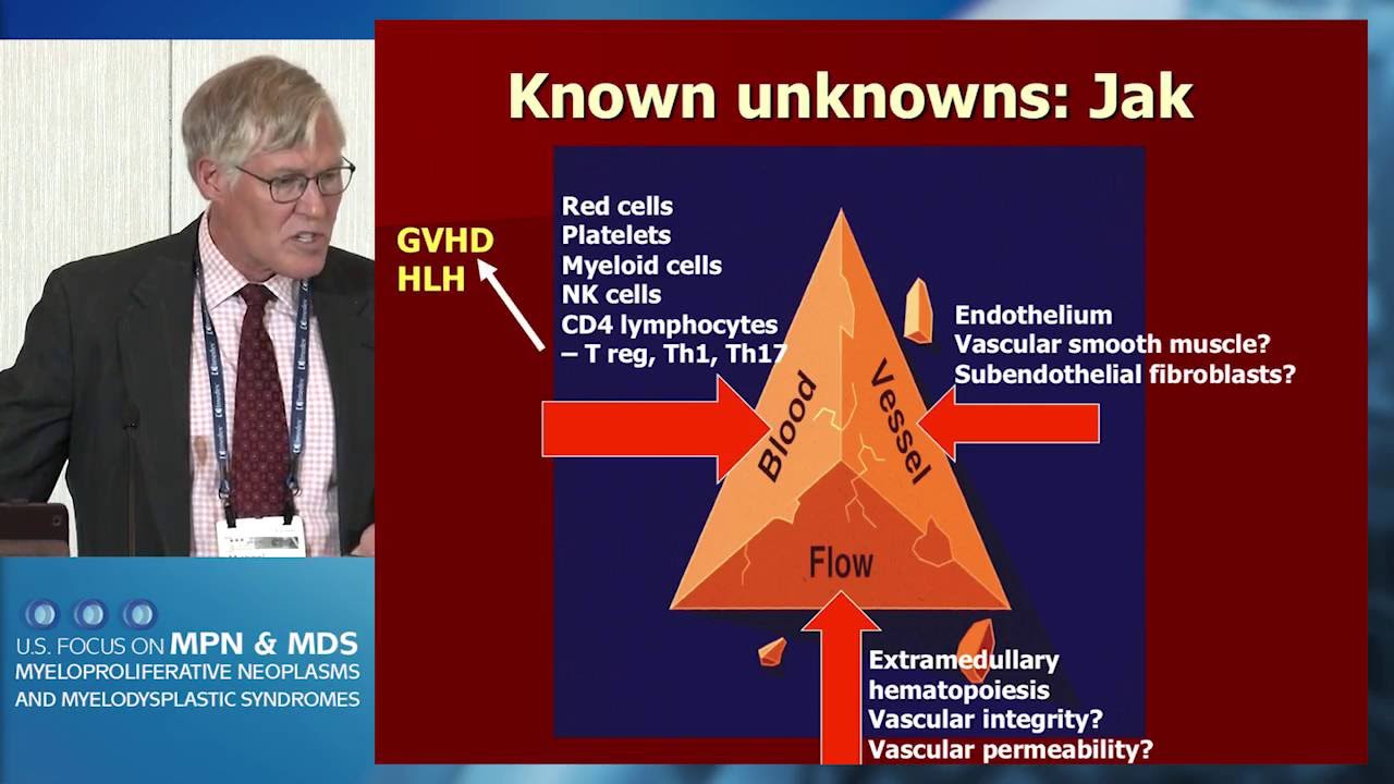 Splanchnic Vein Thrombosis and MPN: Diagnosis and Therapy