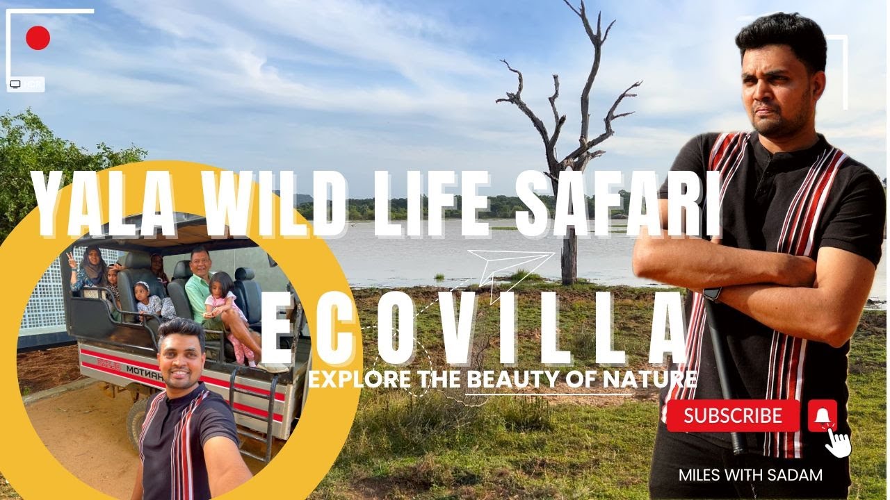 Wildlife Encounters: Epic Yala Safari & Luxurious Stay at Safron Lake, Sri Lanka