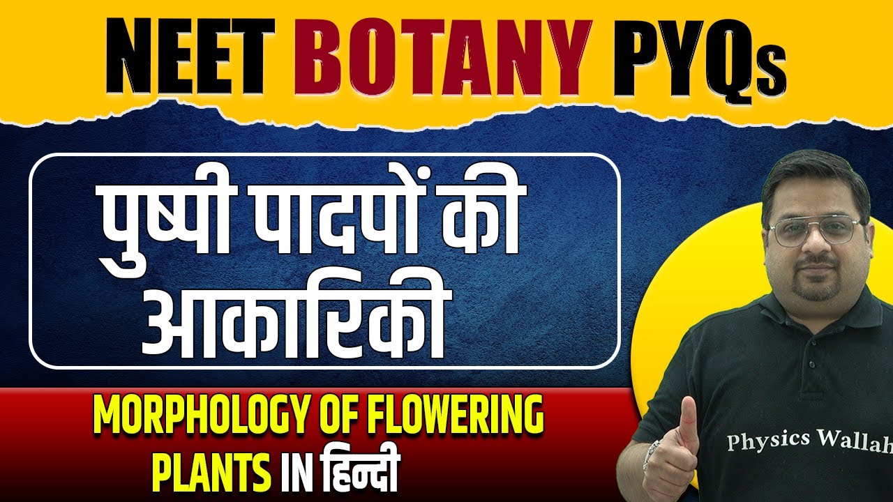 MORPHOLOGY OF FLOWERING PLANTS  - Important PYQs | Hindi Medium | NEET | पुष्पी पादपों की आकारिकी