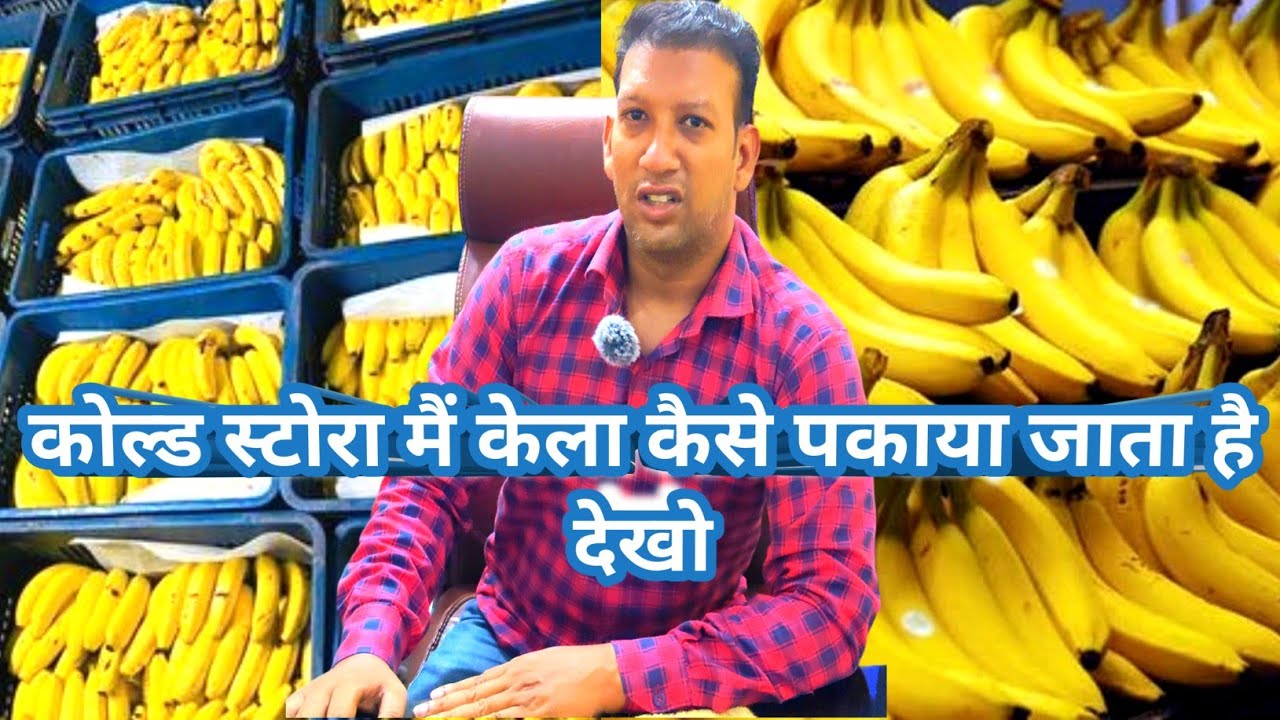 मंडी में केला कैसे पकाया जाता है खुद देख लो कोल्ड स्टोरेज में | holesale banana market |#viralvideo
