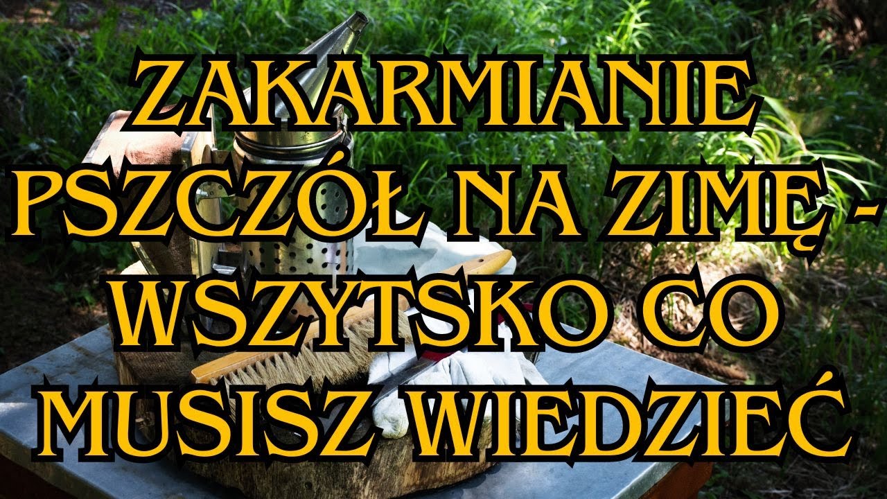 Zakarmianie pszczół na zimę - kompleksowy poradnik