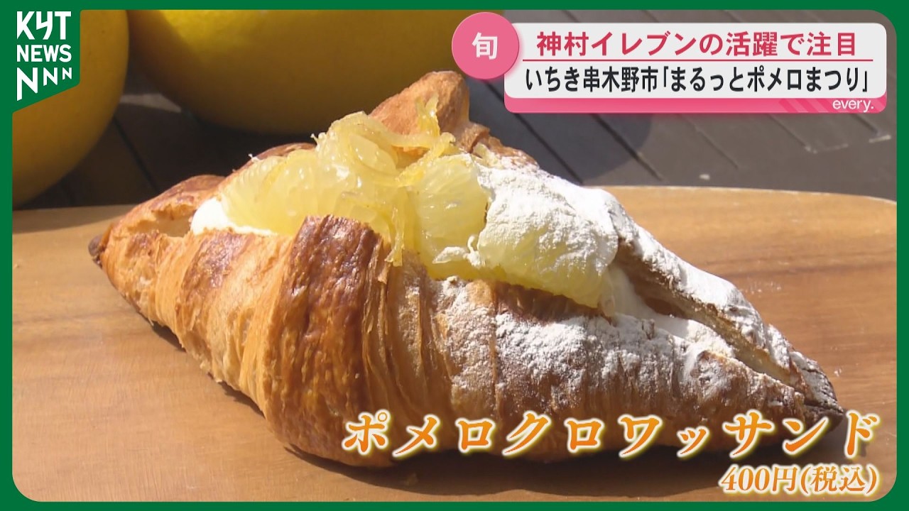 ビンチョウマグロのポメロステーキも！　いちき串木野市で「まるっとポメロまつり」