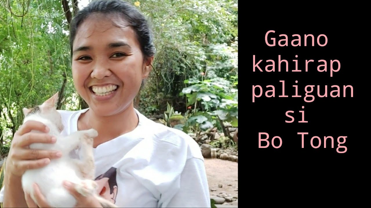 ANG HIRAP MAGPALIGO NG PUSA |macon