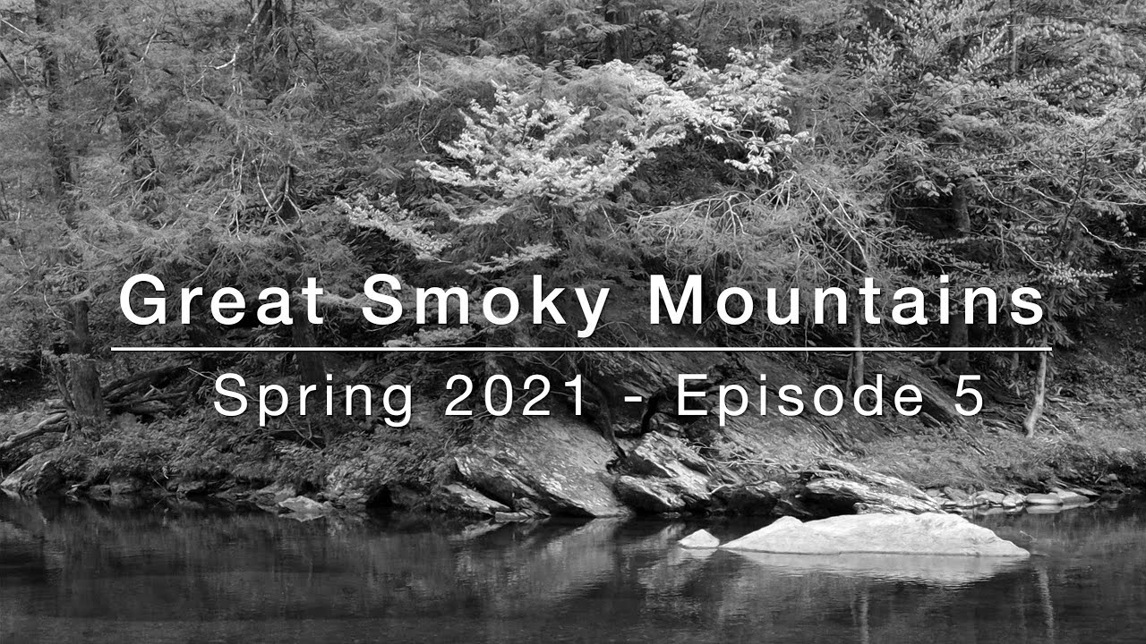 Photographing the Smokies - Large Format - Spring 2021: Episode 5