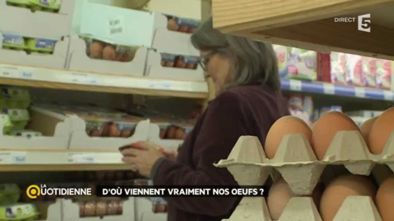 D'où viennent vraiment nos oeufs ?