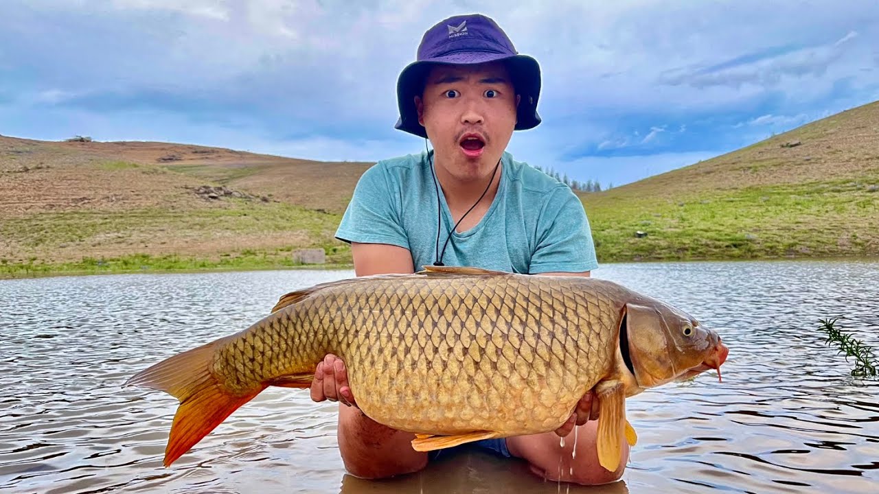 MONSTER CARPS & CATFISH!!! SHASTA LAKE -FISHAUN 2022