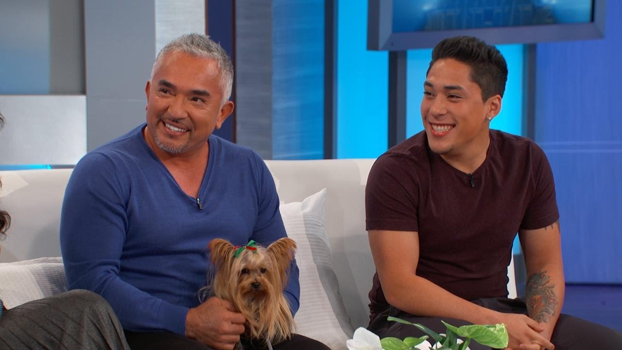 Cesar Millan Answers Your Dog Questions