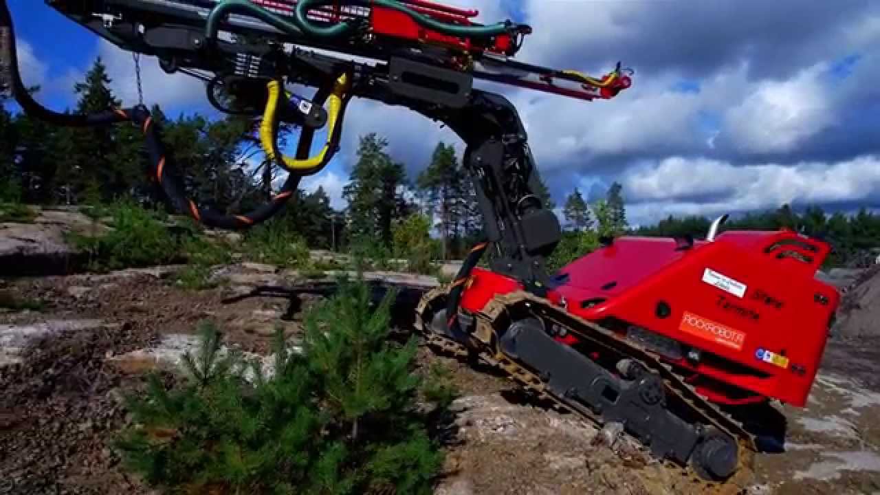 Stone termite - Drilling rig