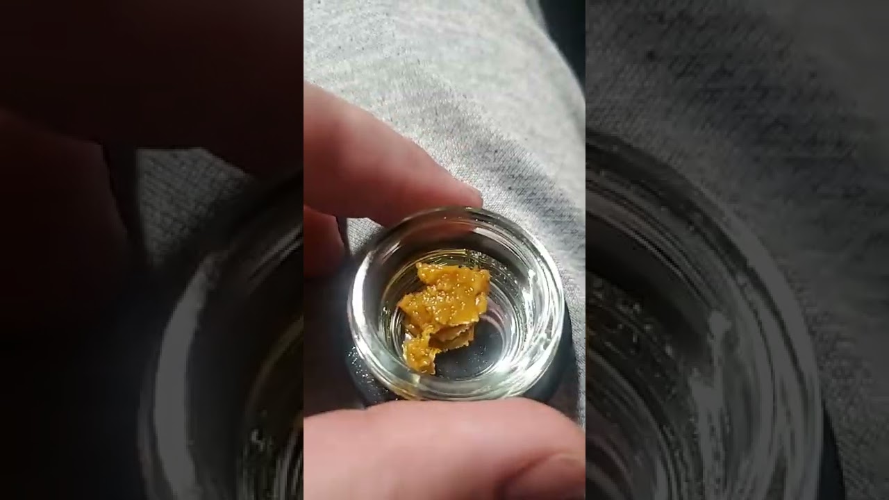 GMO by King 🤴 & Queen 👸 Live Budder