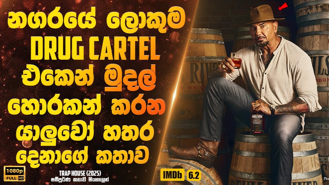 නගරයේ ලොකුම cartel එකෙන් මුදල් හොරකන් කරන යාලුවෝ හතර දෙනාගේ කතාව | Sinhala Movie