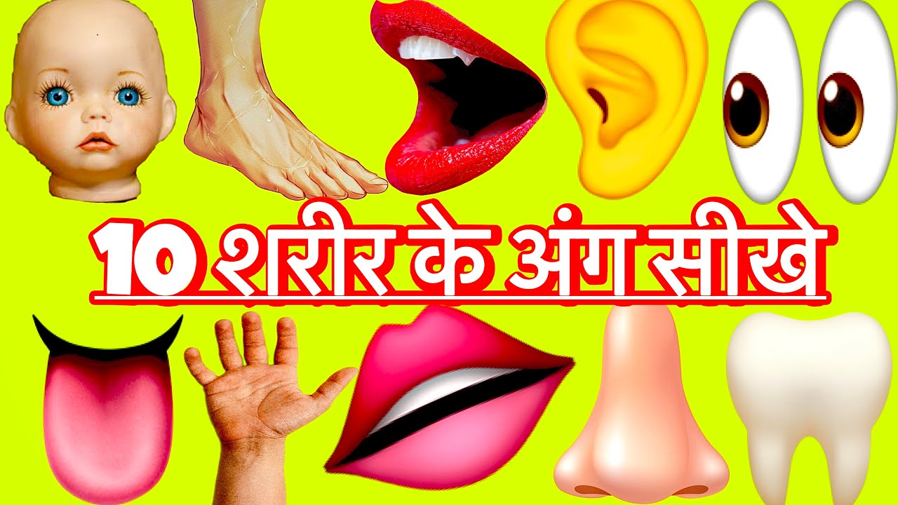 Body Parts Name for Kids | शरीर के अंगों के नाम | Kids Learning Video
