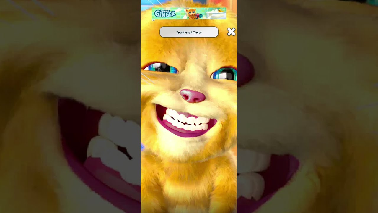 Talking Tom Cat funny videos 🍇🍒🥝🥕🍓🍋🍏🍉🍅🫒🥒🥦🍖🧀🥯🥯🍟🥚🍔🥓🌭🥪🍗🧈🍭🍡🍤🍳🍟🍔🍔🍔🍟🍟🍟🌭🍕🍕🍕🌭🌭🌭🌭