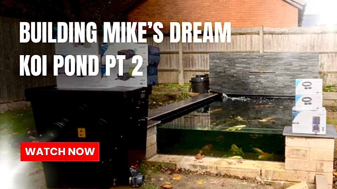 Building Mike's Dream Pond PT 2