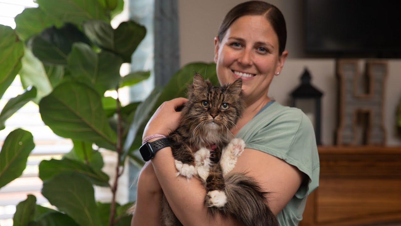 Pilot Adopts Cat She Rescued After Fatal Crash Kills Its Owners