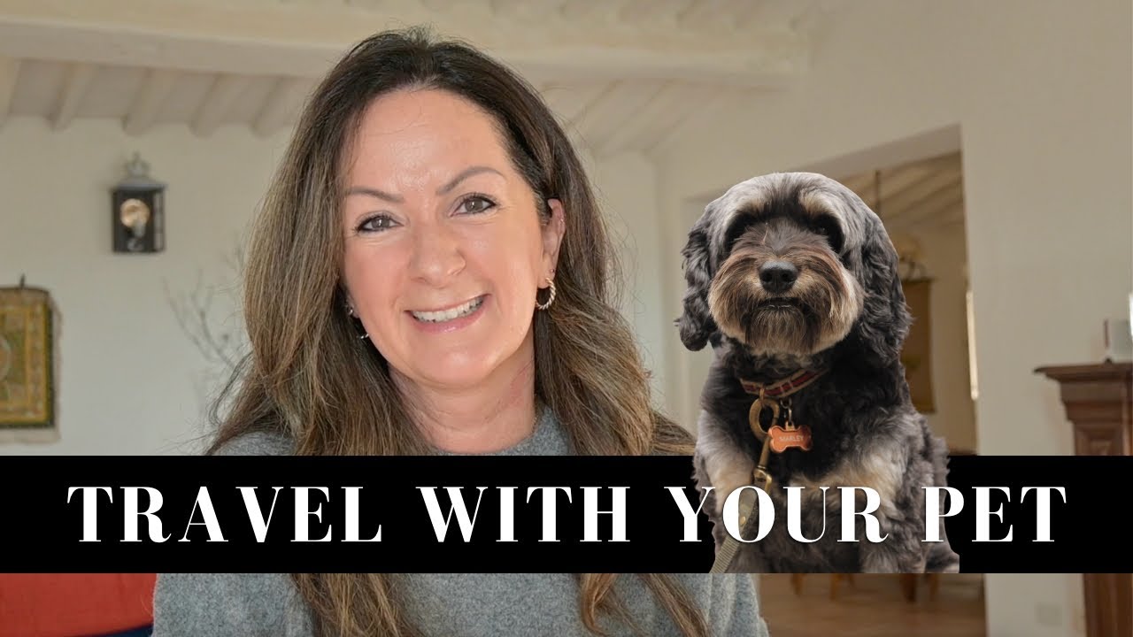 How To Travel Internationally With Your Pet