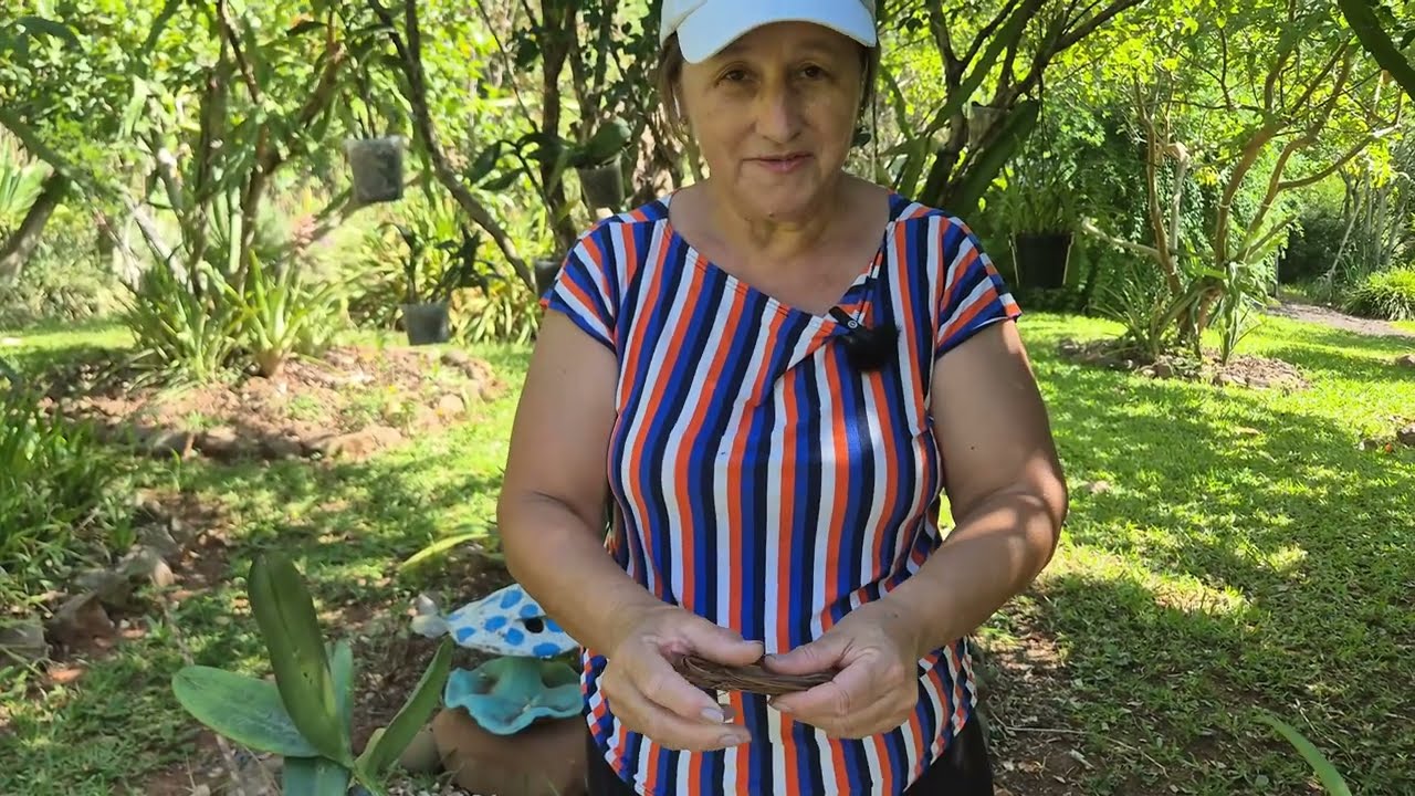 VEJA COMO CONSEGUI RECUPERAR AS ORQUÍDEAS