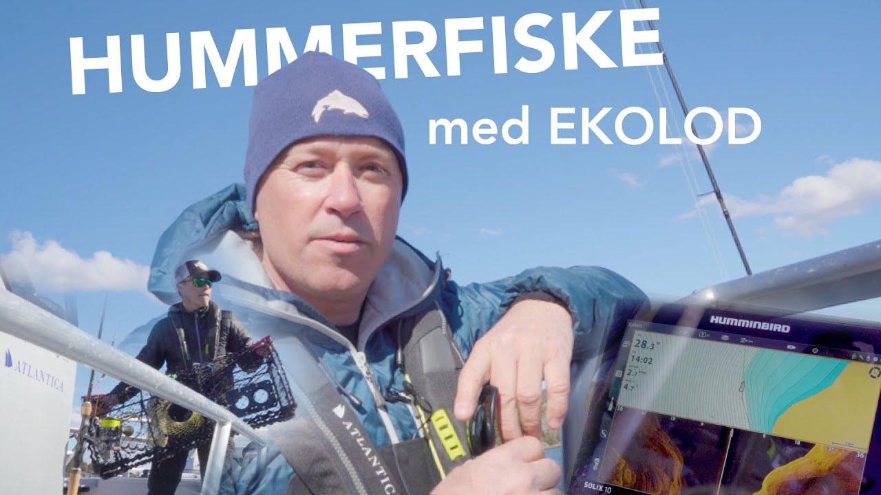 FISKA HUMMER med EKOLOD | Jonas Nordigårds visar sin metod