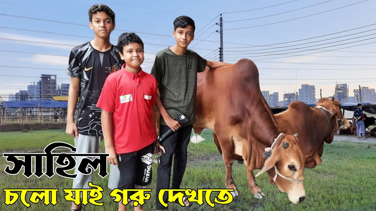 গরু দেখাতে গিয়ে রওজার একি হলো | Qurbani Goru | Cow Video | Pagla Goru | Qurbani 2023