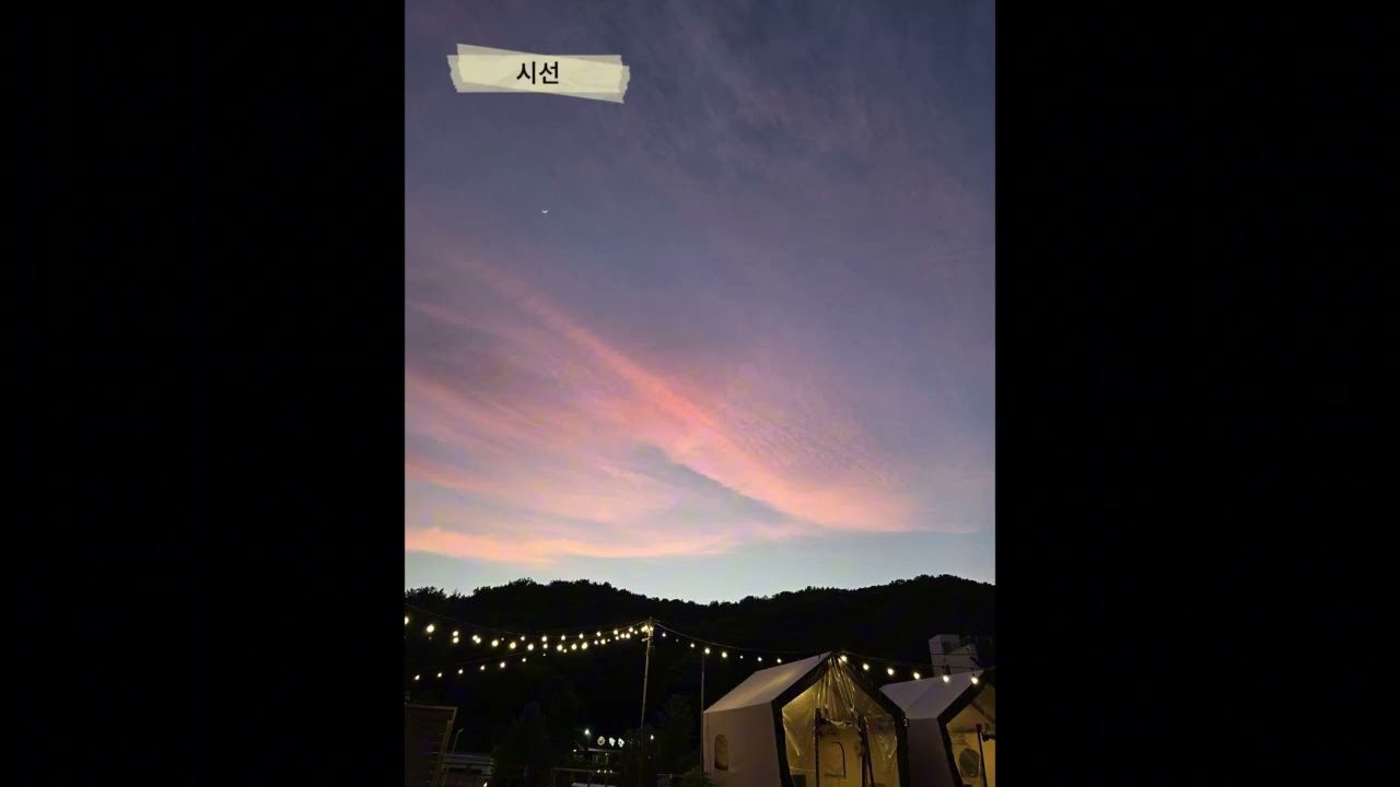 시선