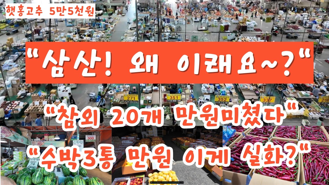 “삼산농산물도매시장, 삼산! 왜 이래요~?” 힐링여행