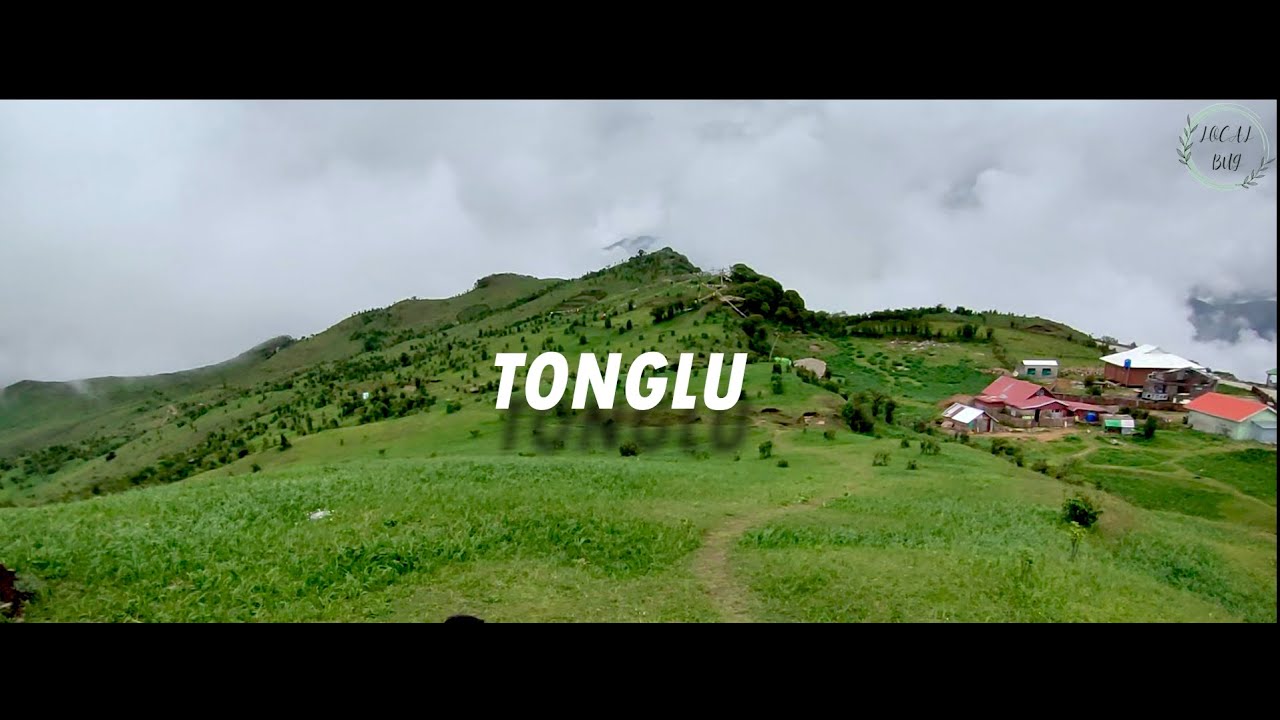 Tonglu || Dhotrey || Cinematic Trailer of #local_bug