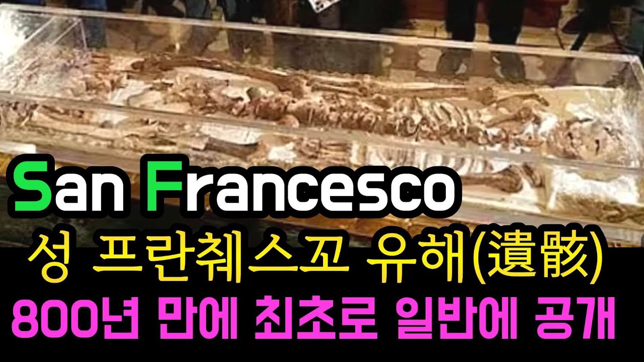 성 프란췌스꼬 유해(遺骸) 800년 만에 최초로 일반에 공개. La teca di San Francesco 